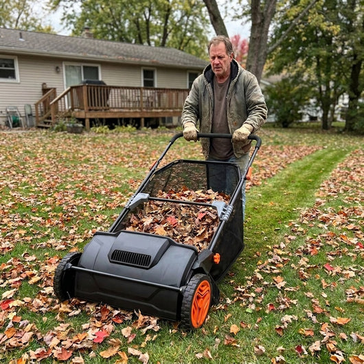 Puroluca Push Lawn Sweeper · 21"
